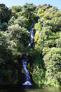 Centennial Gardens Waterfall photo