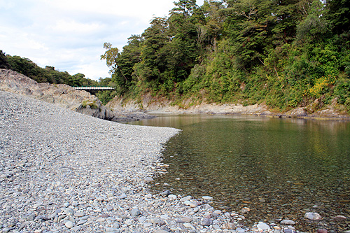 Pelorus River and Bridge photo