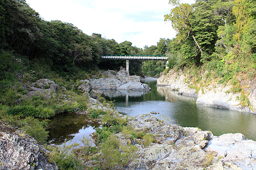 Pelorus Bridge photo