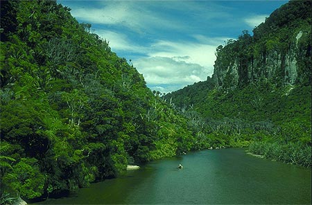 Pororari River photos