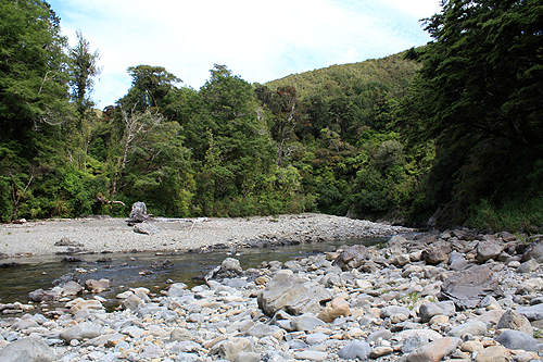 River Bank View photo