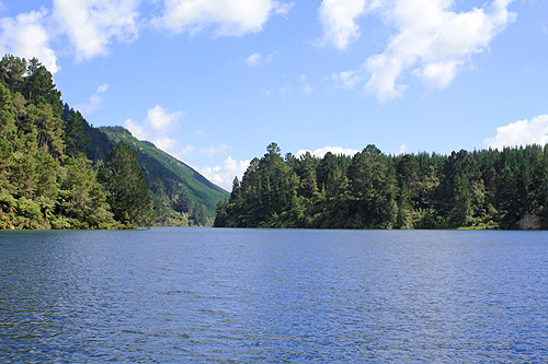 View of Waikato River photo