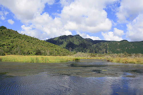 Waikato River Landscape photo
