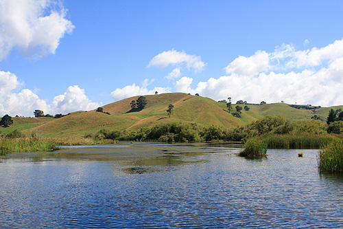 Farmland near Waihunuhunu photo