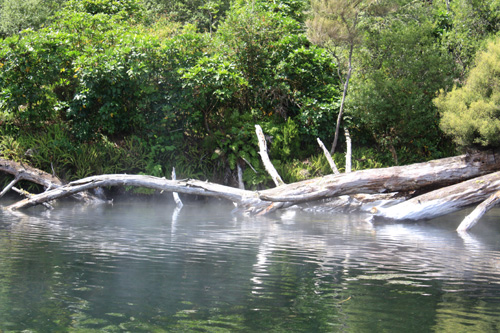 Paradise / Waihunuhunu photo