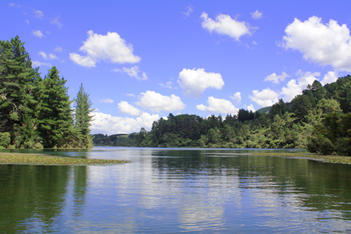 View of Waikato River photo
