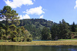 Akatarewa Stream & Waikato River photo