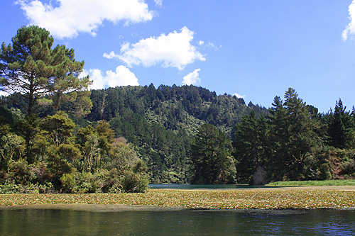 Waikato River & Akatarewa Stream photo