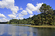 Waikato River photo