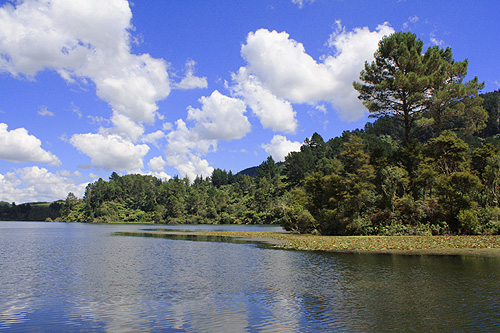 Waikato River & Trees photo