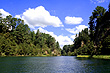 Waikato River View photo