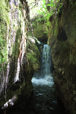 Thermal Waterfall Akatarewa Stream photo