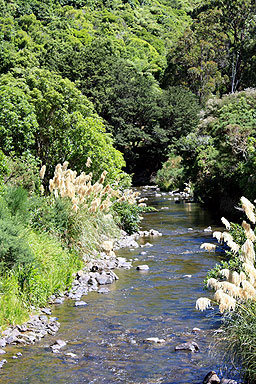 Wainuiomata River photo