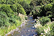 Wainuiomata River photo