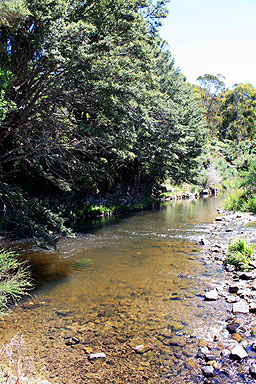 Wainuiomata River photo