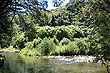 Wainuiomata River photo