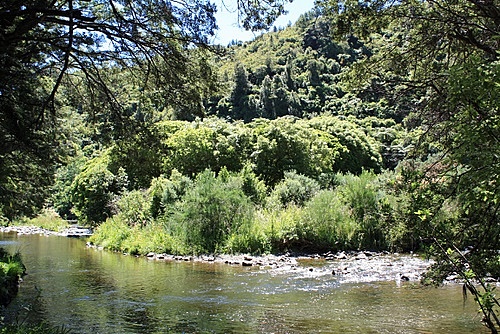Wainuiomata River photo