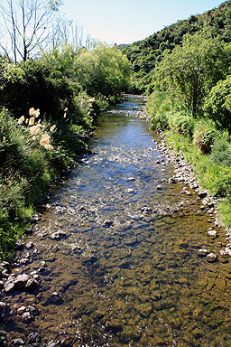 Wainuiomata River photo