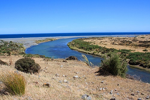 Lower Wainuiomata River photo