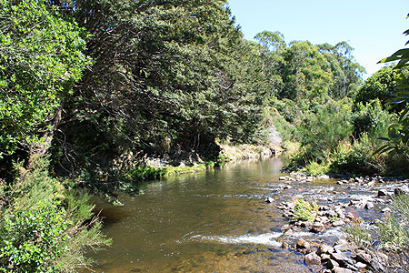 Lower Wainuiomata River photo