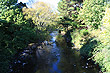 Wainuiomata River Homedale photo