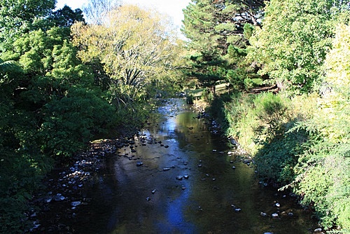 Wainuiomata River Homedale photo