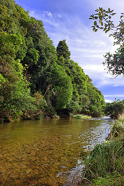 Wainuiomata River photo