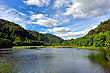 Wainuiomata Wetlands photo