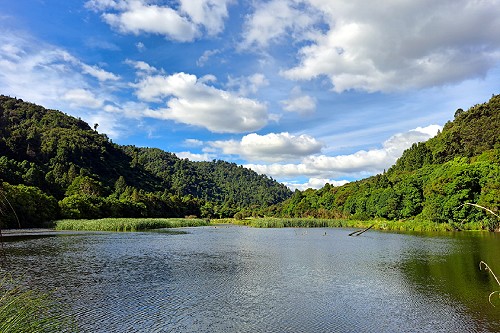 Wainuiomata Wetlands photo