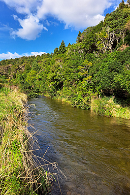 Wainuiomata River photo