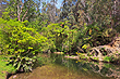 Wainuiomata River photos