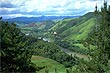 Whanganui River photo