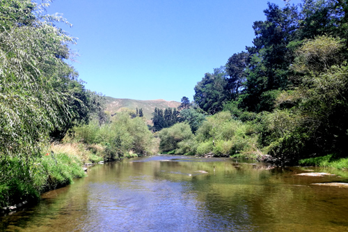 View of Wharekopae River photo