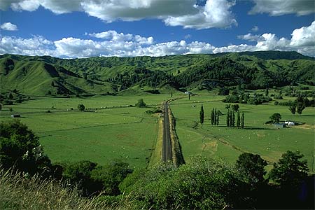 Rangitikei photo