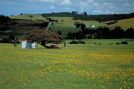 Countryside photo