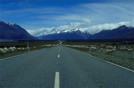 Rural Mt Cook photo