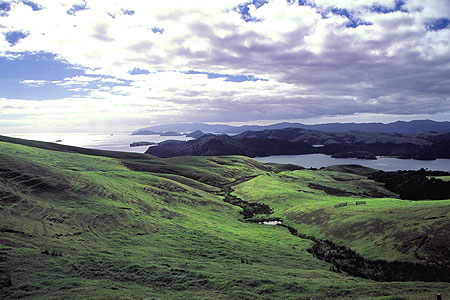 Rural Coromandel photo