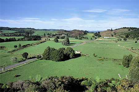 Rural Northland photo