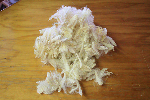 Wool Sample photo