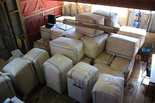 Wool Bales photo