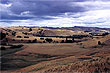 Wairarapa Farmland photo