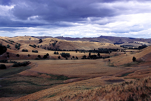 Wairarapa photo