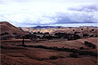 Wairarapa Farmland photo