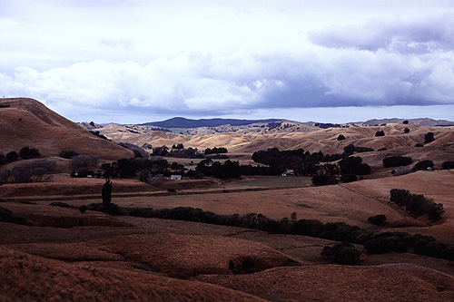 Parched Farmland photo