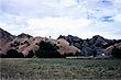 Wairarapa Farmland photo