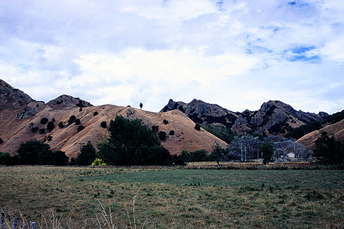 Wairarapa photo