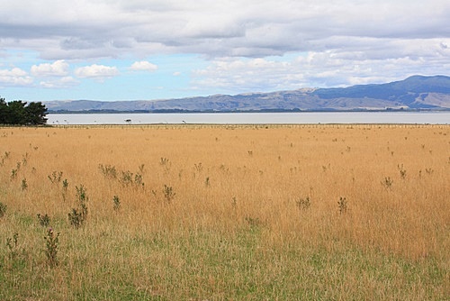 Rural Wairarapa photos