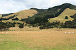 Rural Wairarapa Wairarapa photos