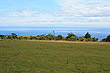 Palliser Bay Farm photo