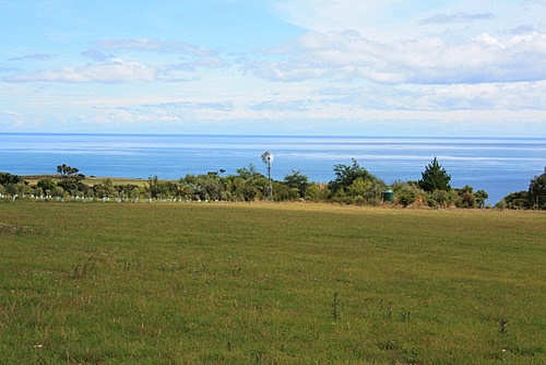 Palliser Bay Farm photo